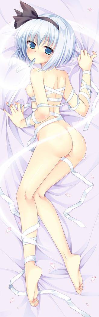  - Photo #1560
