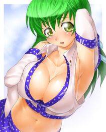 Kochiya Sanae - Photo #56