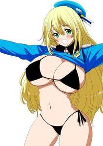 Atago - Photo #24