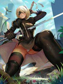 Collection - 2B - Photo #5