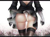Collection - 2B - Photo #10