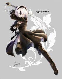 Collection - 2B - Photo #13