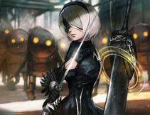 Collection - 2B - Photo #16