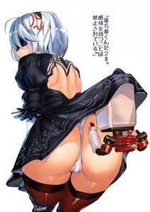 Collection - 2B - Photo #17
