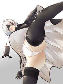Collection - 2B - Photo #20