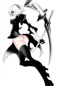 Collection - 2B - Photo #28