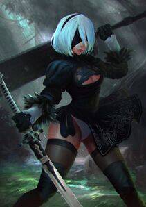 Collection - 2B - Photo #40