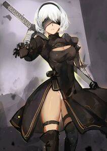 Collection - 2B - Photo #44