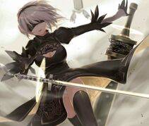 Collection - 2B - Photo #48