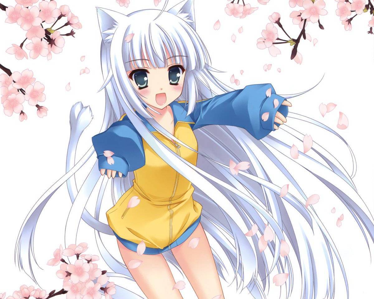 myAlbum - Photo #45